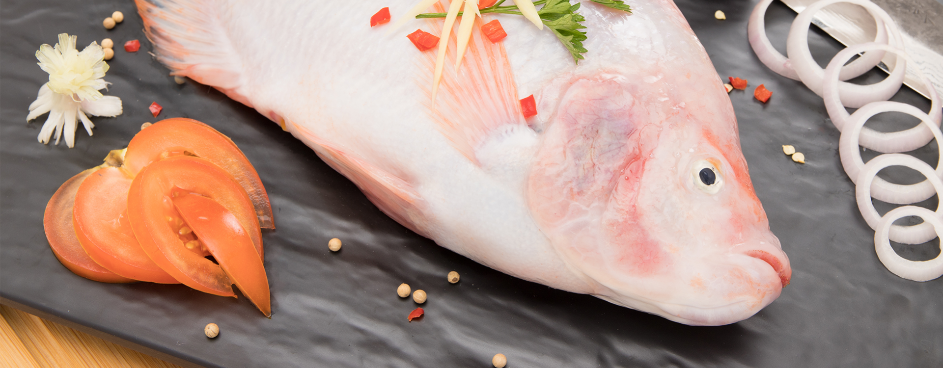 Super Red Tilapia