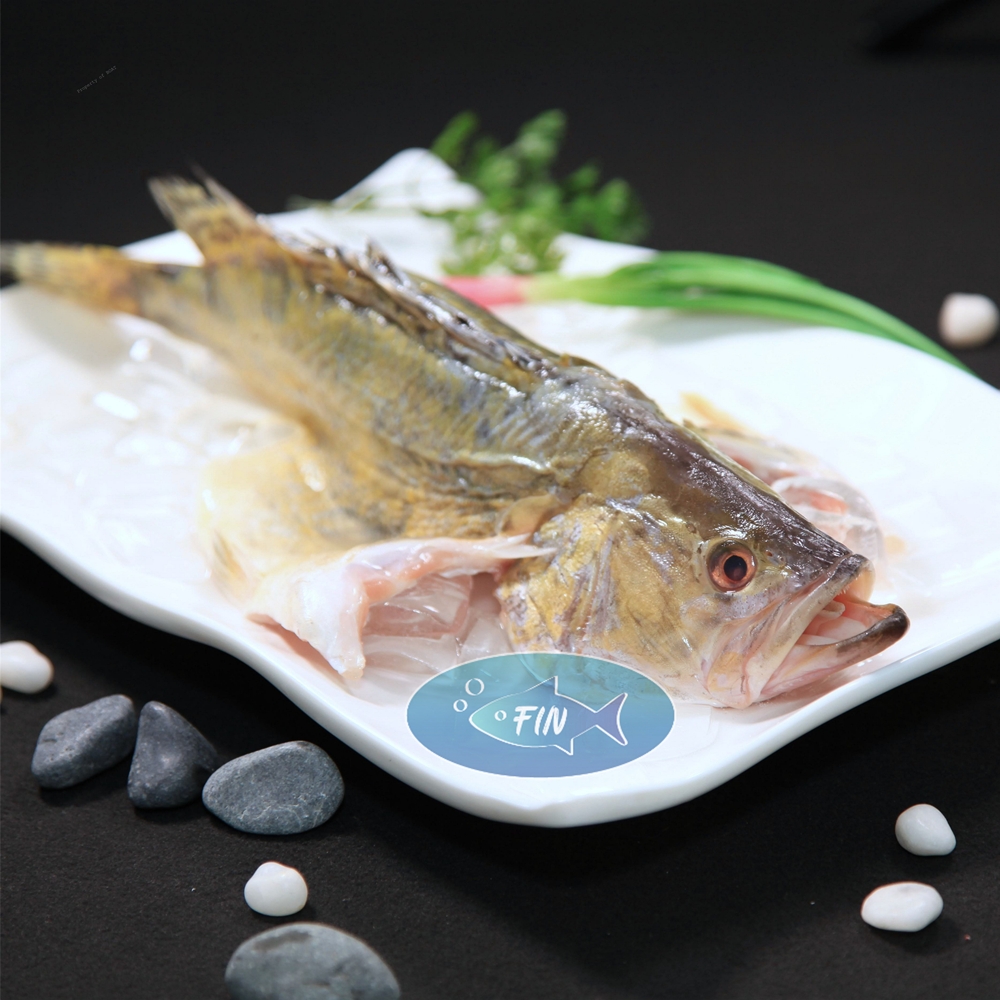 Fresh Fish