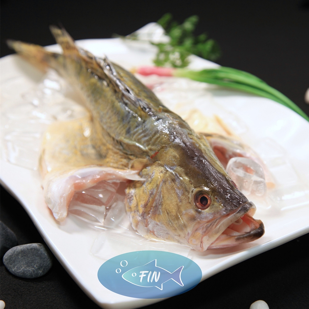 Fresh Fish